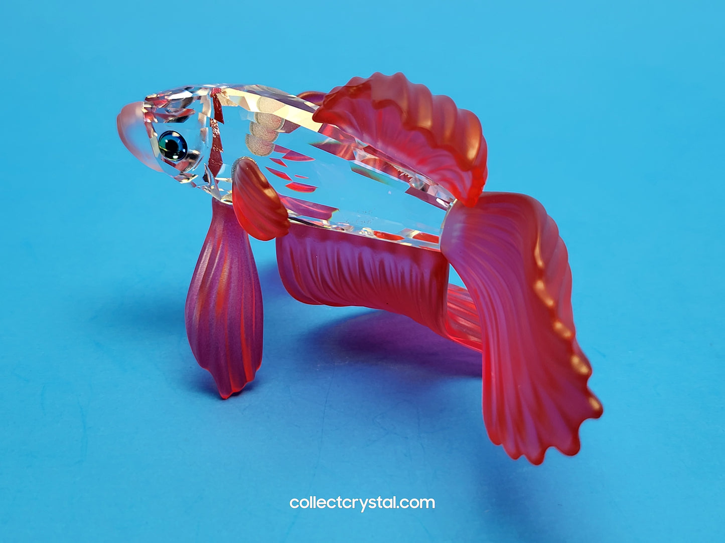 Siamese Fighting Fish Red Crystal Figurine 660941 mib