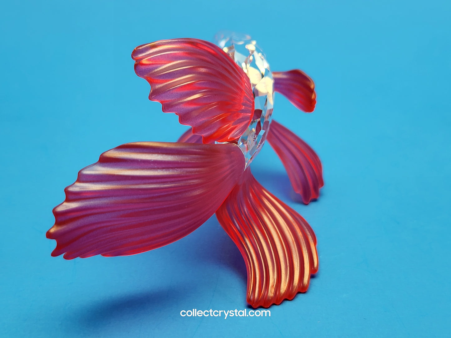 Siamese Fighting Fish Red Crystal Figurine 660941 mib