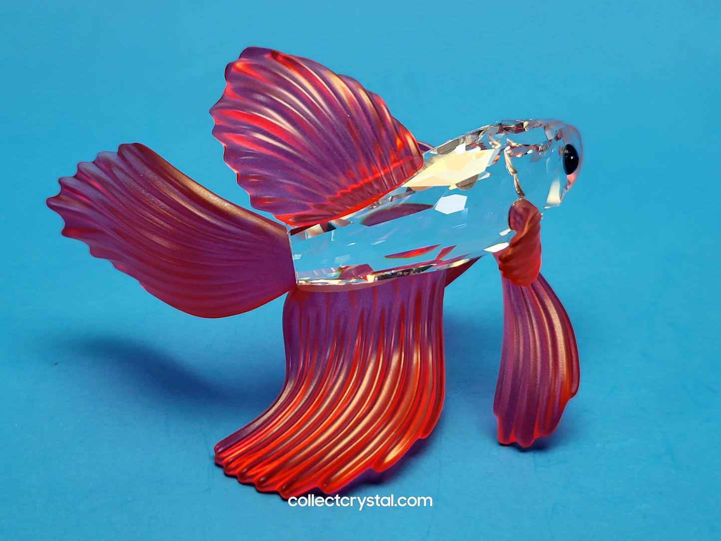Siamese Fighting Fish Red Crystal Figurine 660941 mib
