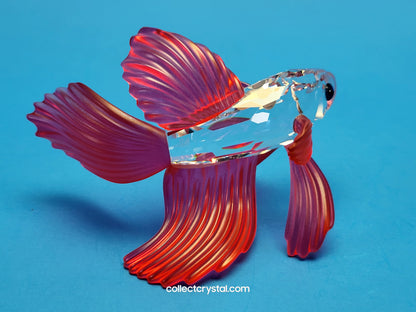 Siamese Beta Fighting Fish set of 3 - #236718, 261259, & 660941 mib