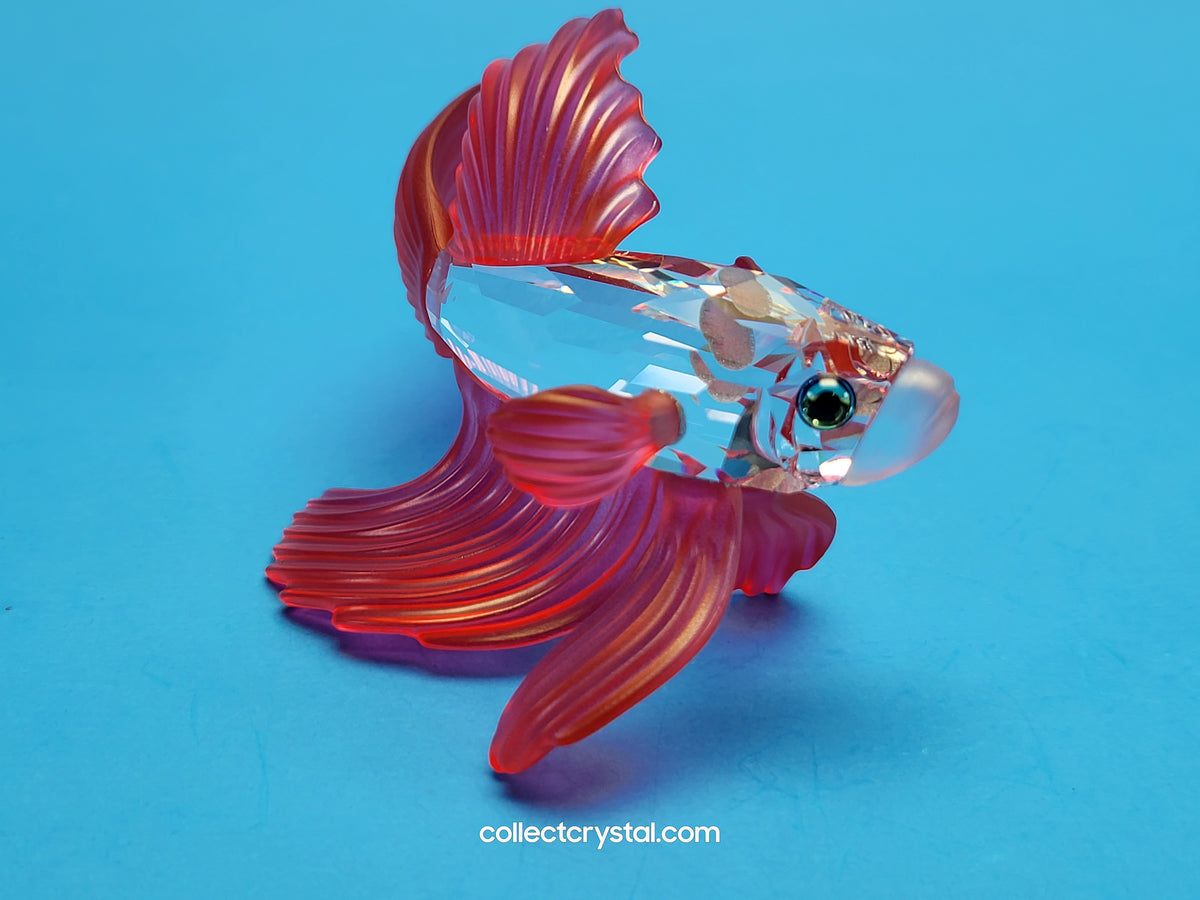 Siamese Beta Fighting Fish set of 3 - #236718, 261259, & 660941 mib