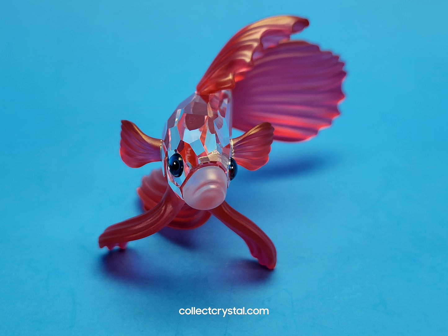 Siamese Fighting Fish Red Crystal Figurine 660941 mib
