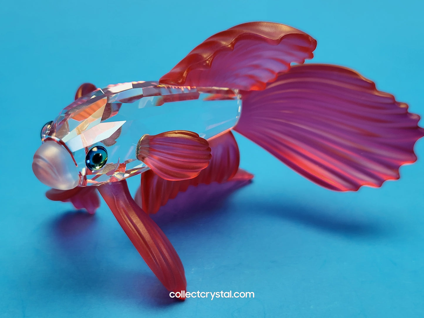Siamese Fighting Fish Red Crystal Figurine 660941 mib