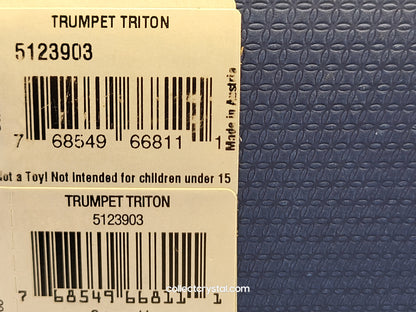 TRUMPET TRITON 5123903 sea shell