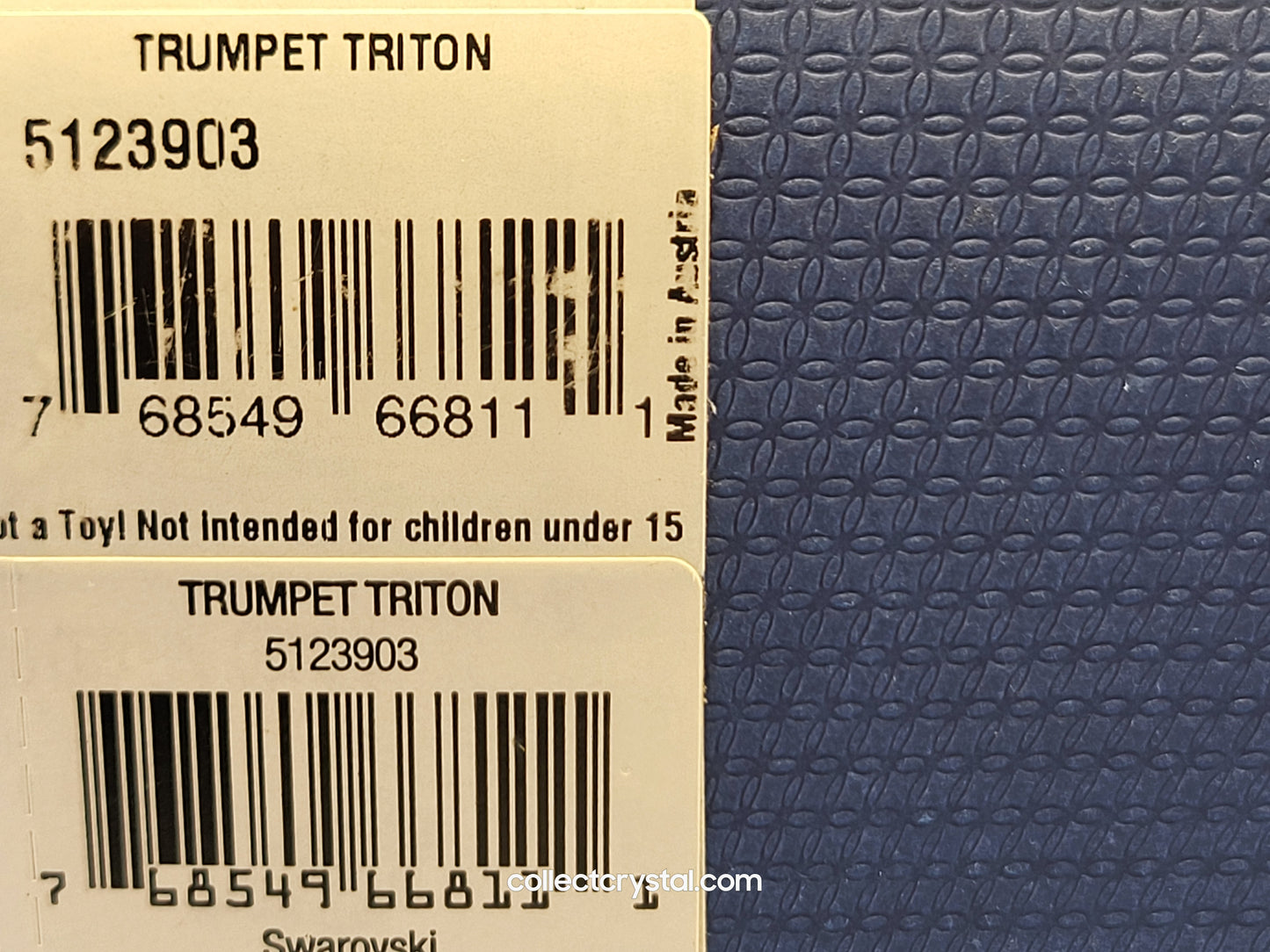 TRUMPET TRITON 5123903 sea shell