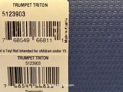 TRUMPET TRITON 5123903 sea shell