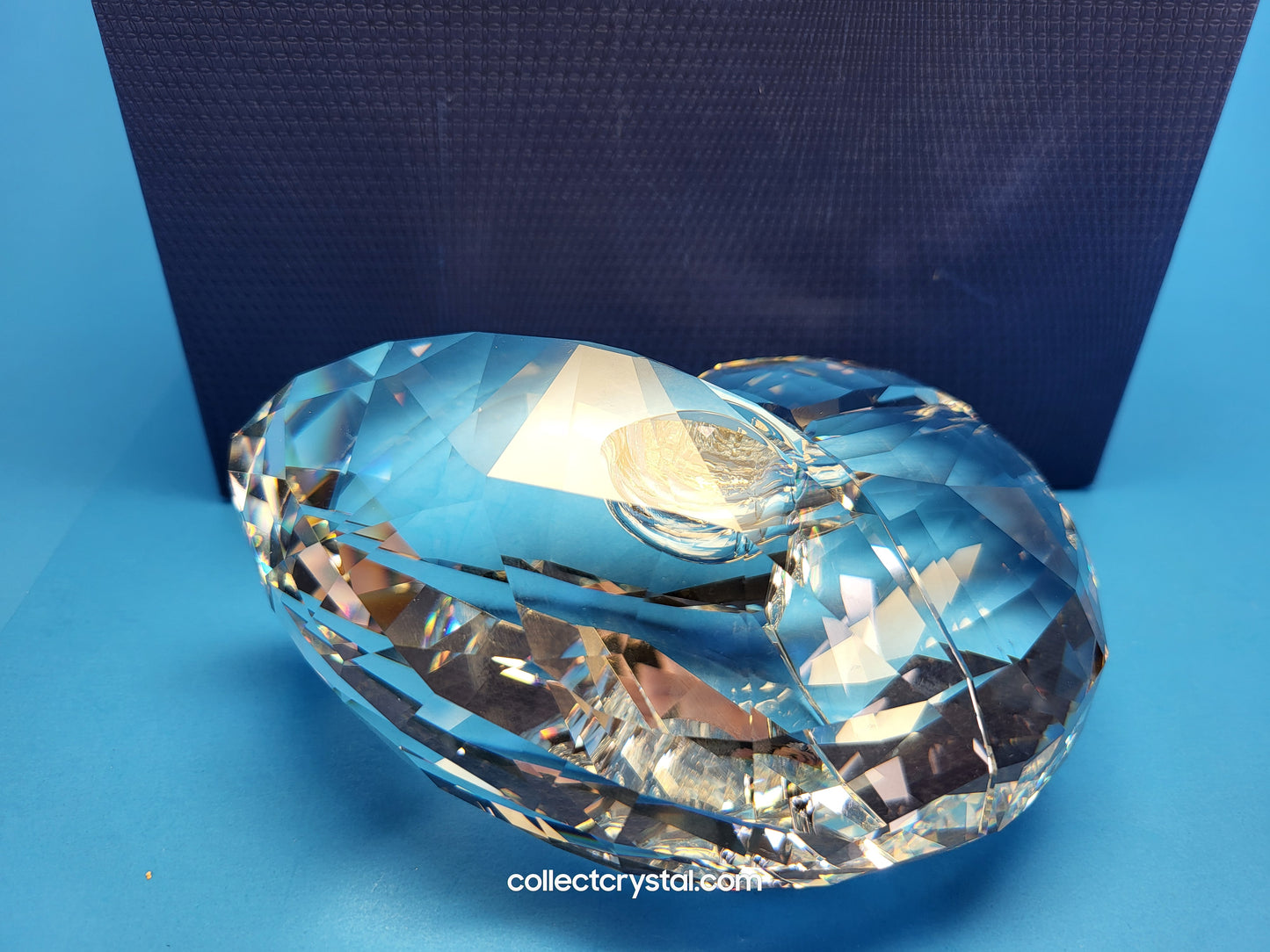 NAUTILUS 5123902 SEA SHELL