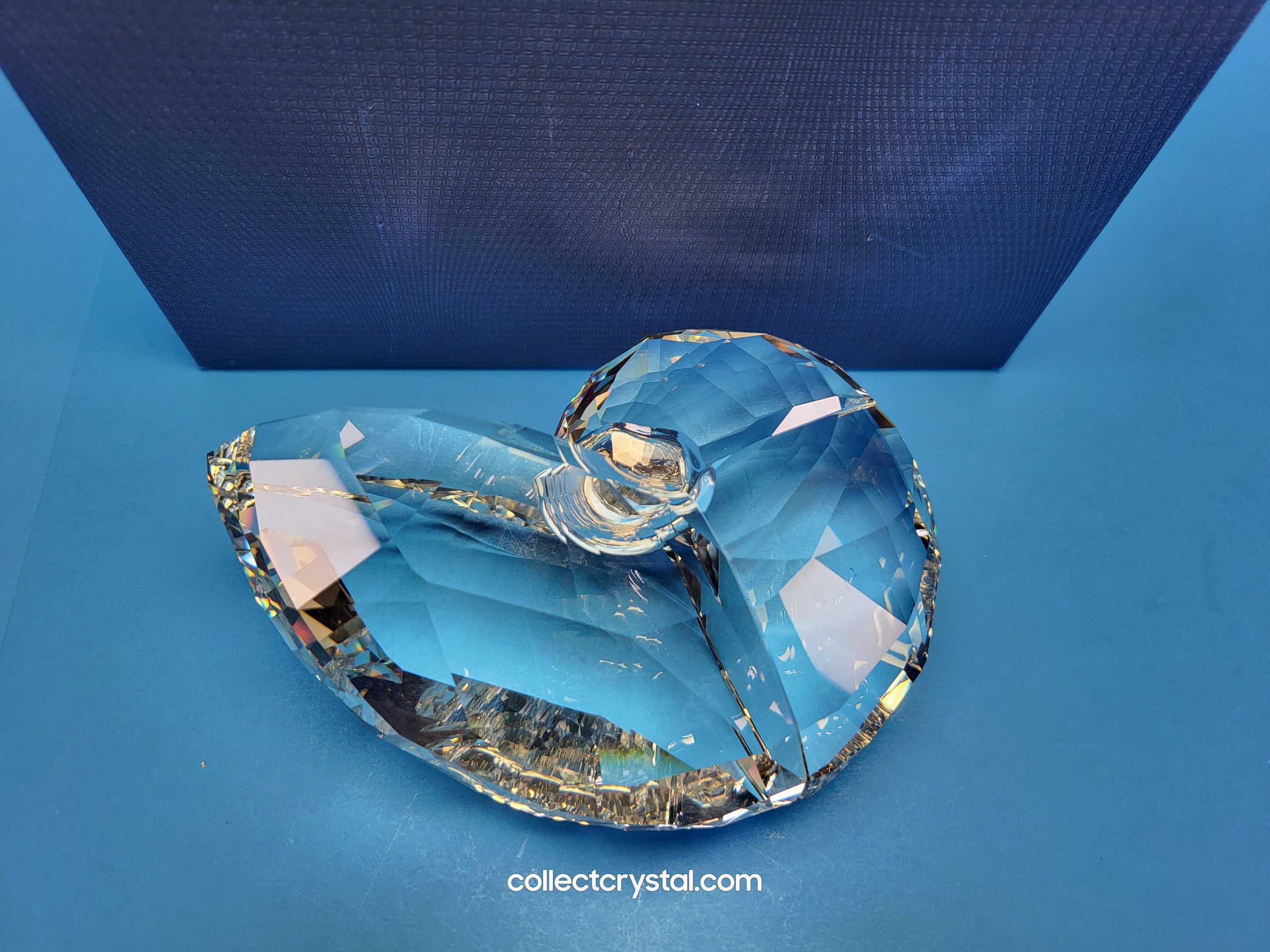 NAUTILUS 5123902 SEA SHELL – Collect Crystal