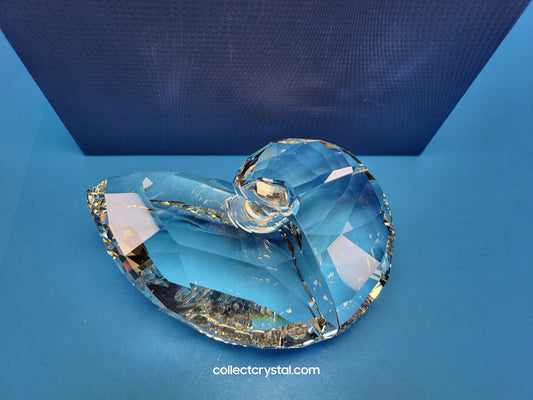 NAUTILUS 5123902 SEA SHELL