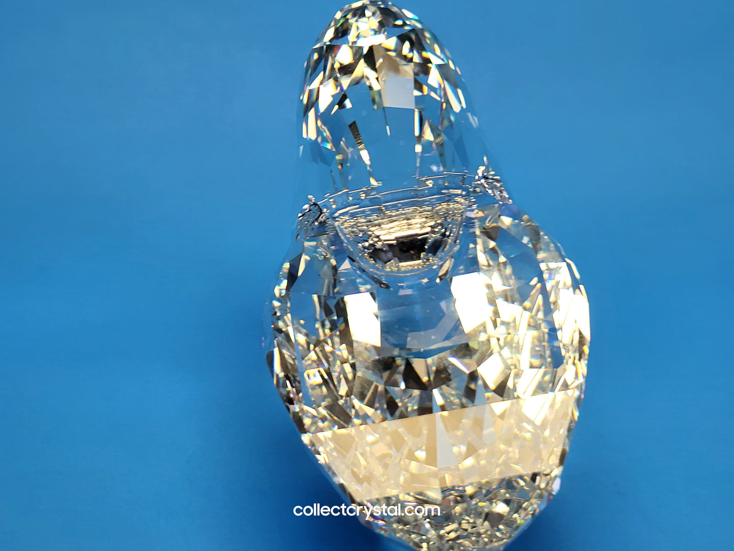 NAUTILUS 5123902 SEA SHELL