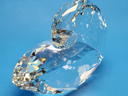 NAUTILUS 5123902 SEA SHELL