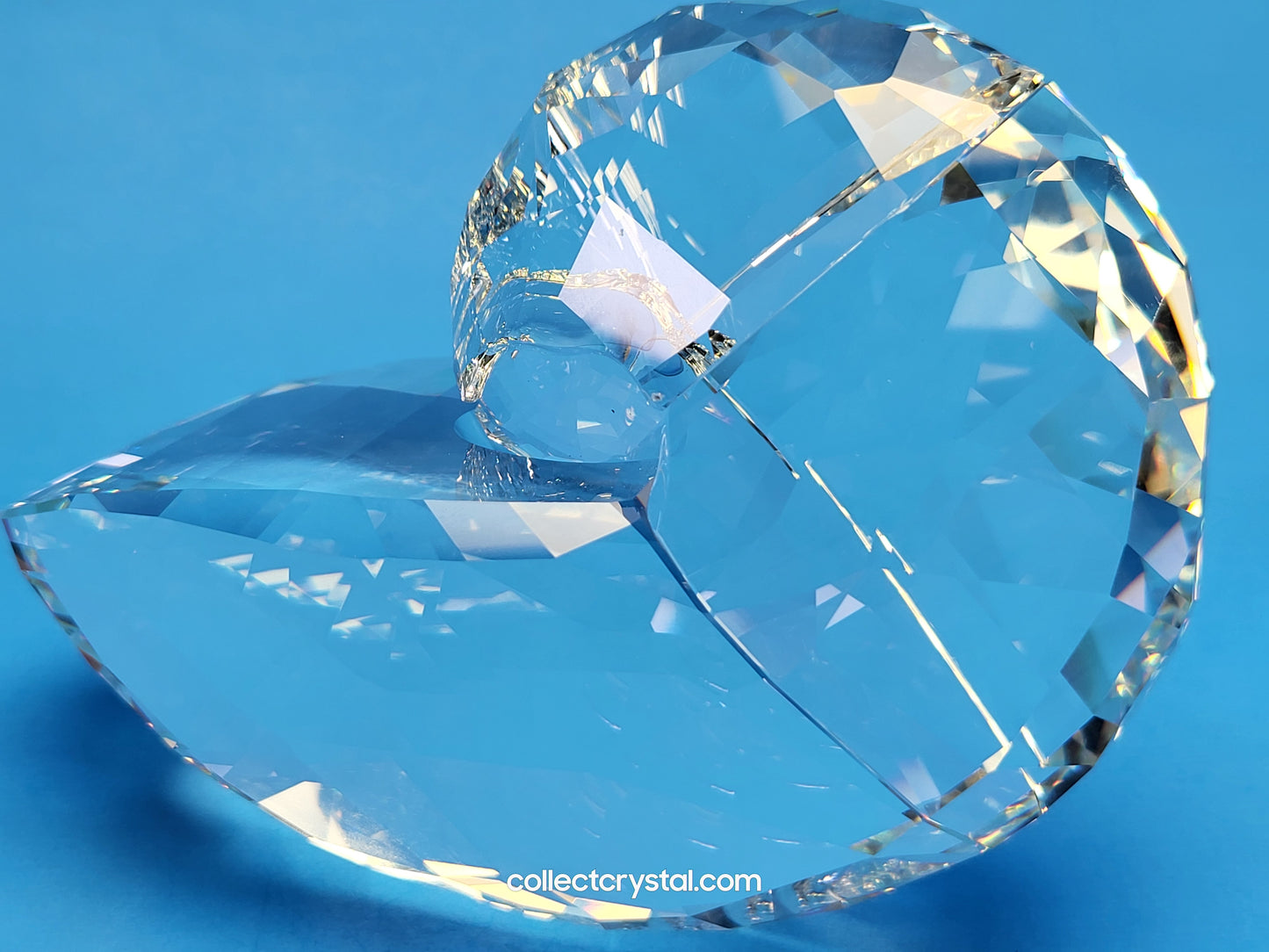 NAUTILUS 5123902 SEA SHELL