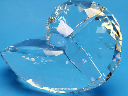 NAUTILUS 5123902 SEA SHELL