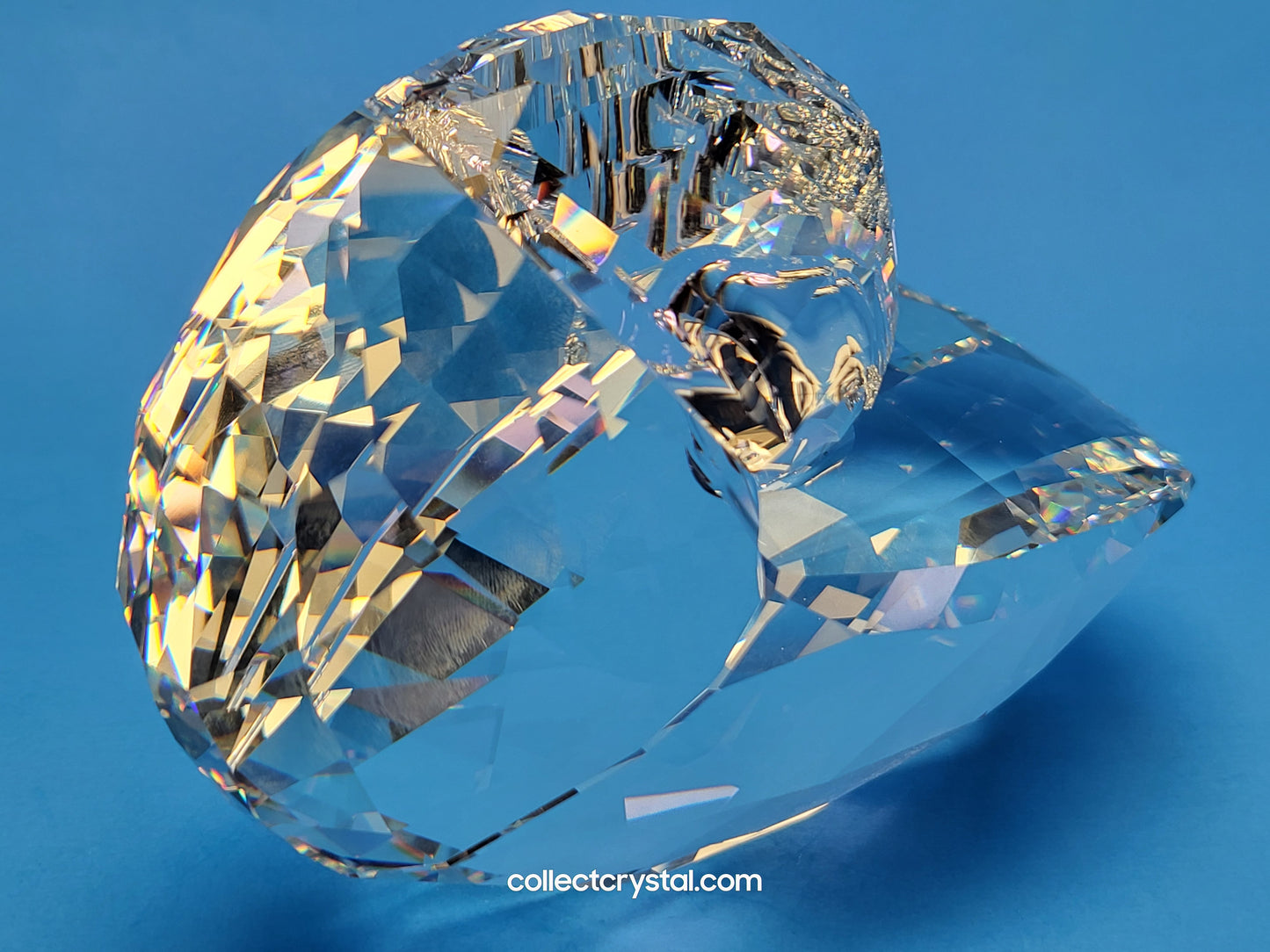 NAUTILUS 5123902 SEA SHELL