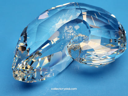 NAUTILUS 5123902 SEA SHELL