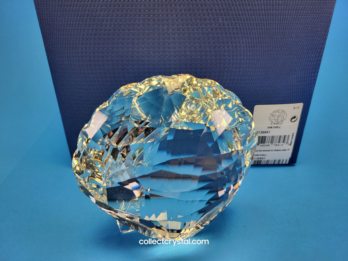 ARK SEA SHELL # 5136841