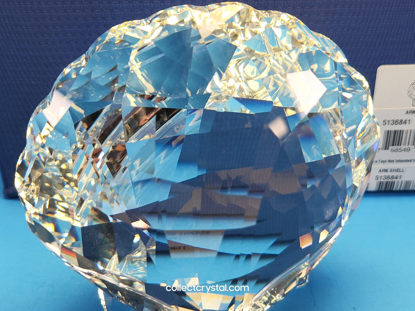 ARK SEA SHELL # 5136841