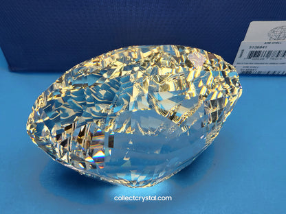 ARK SEA SHELL # 5136841