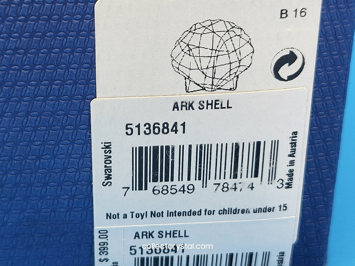 ARK SEA SHELL # 5136841