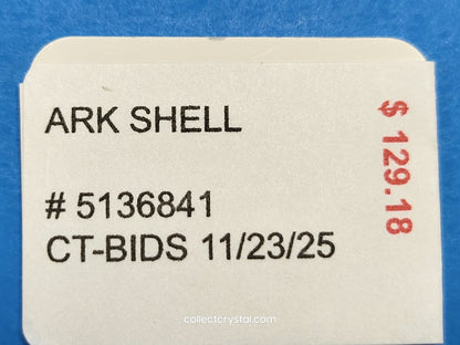 ARK SEA SHELL # 5136841