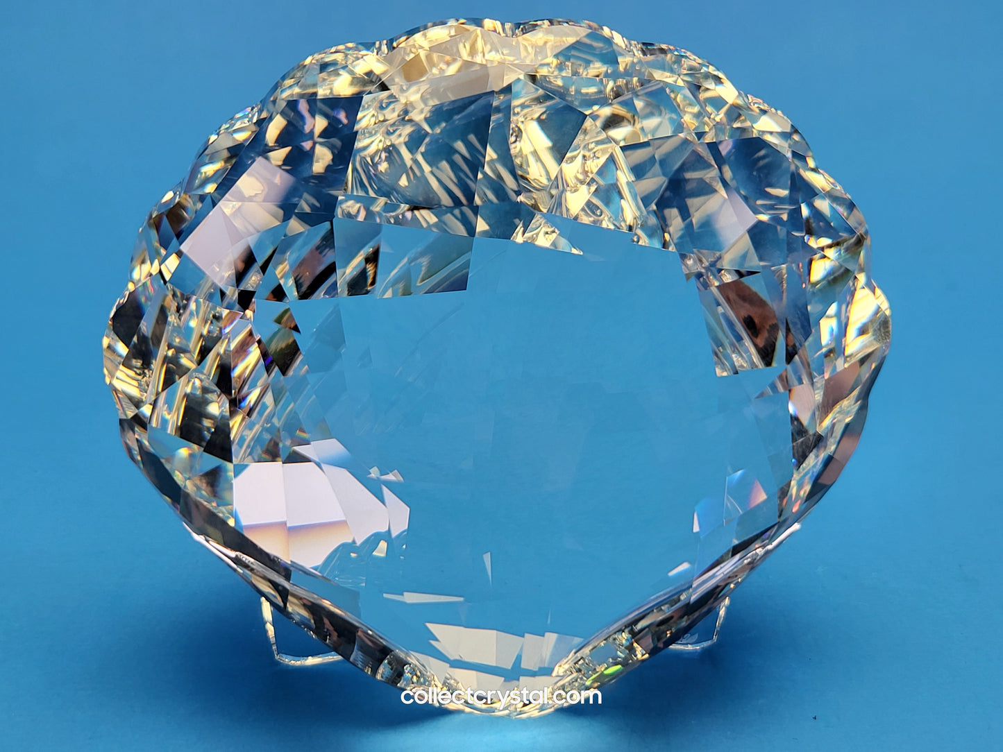 ARK SEA SHELL # 5136841