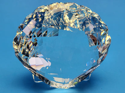 ARK SEA SHELL # 5136841
