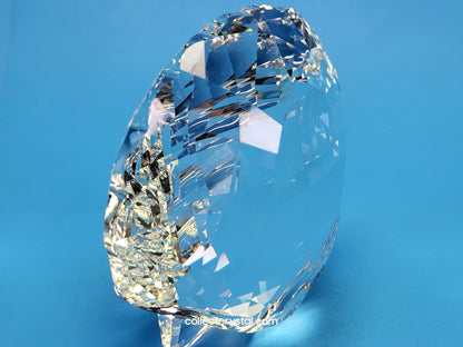 ARK SEA SHELL # 5136841