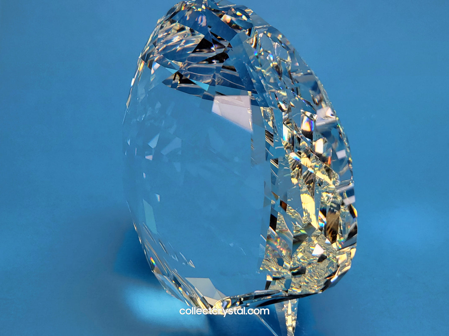ARK SEA SHELL # 5136841