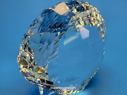 ARK SEA SHELL # 5136841