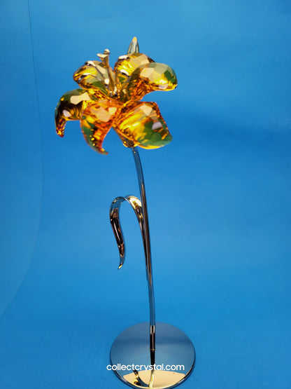 DAHLIA Topaz With BUDS PARADISE FLOWER 9" # 850597