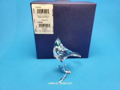 BLUE JAY (2019 ISSUE) 5470647 / 5705326 bird