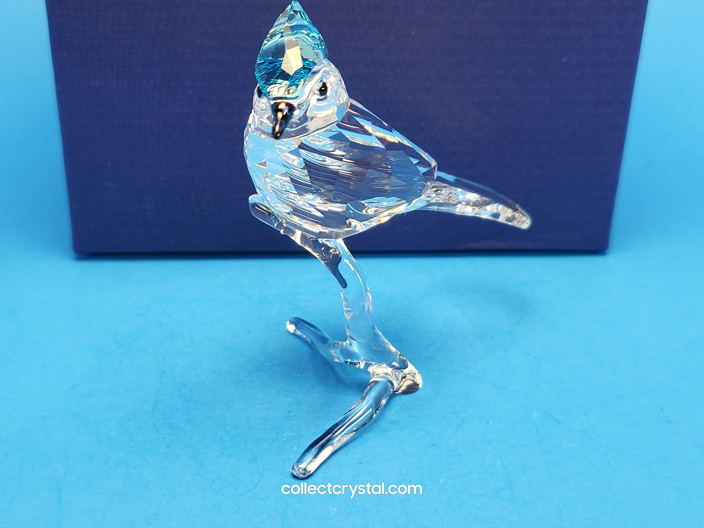 BLUE JAY (2019 ISSUE) 5470647 / 5705326 bird