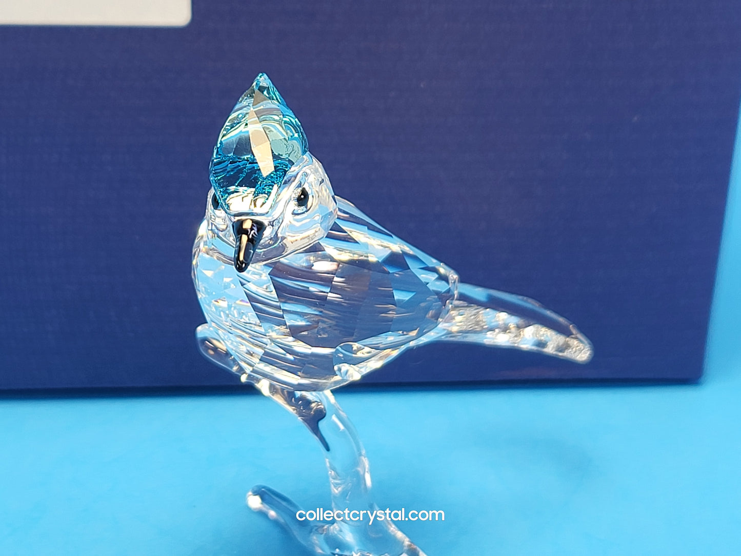 BLUE JAY (2019 ISSUE) 5470647 / 5705326 bird