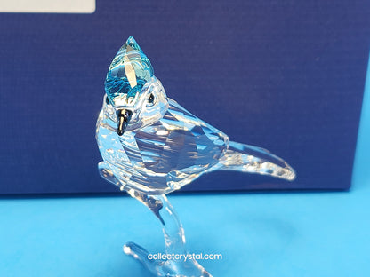 BLUE JAY (2019 ISSUE) 5470647 / 5705326 bird