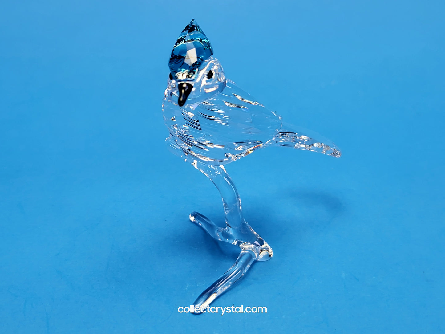 BLUE JAY (2019 ISSUE) 5470647 / 5705326 bird