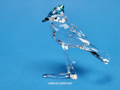 BLUE JAY (2019 ISSUE) 5470647 / 5705326 bird