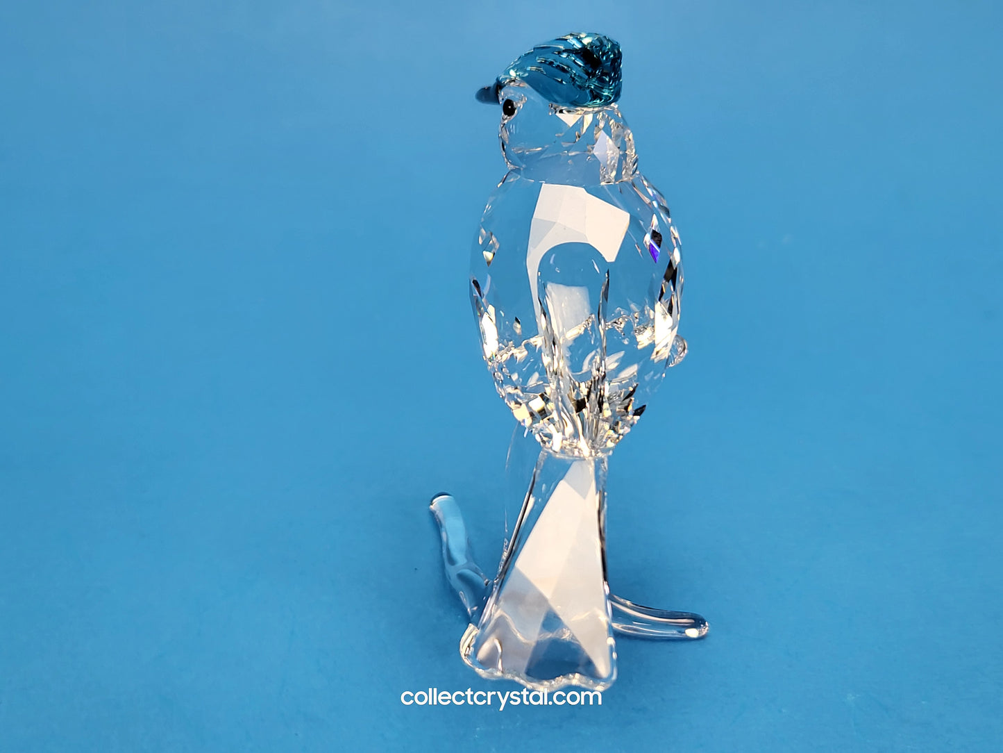 BLUE JAY (2019 ISSUE) 5470647 / 5705326 bird