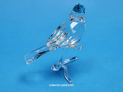 BLUE JAY (2019 ISSUE) 5470647 / 5705326 bird