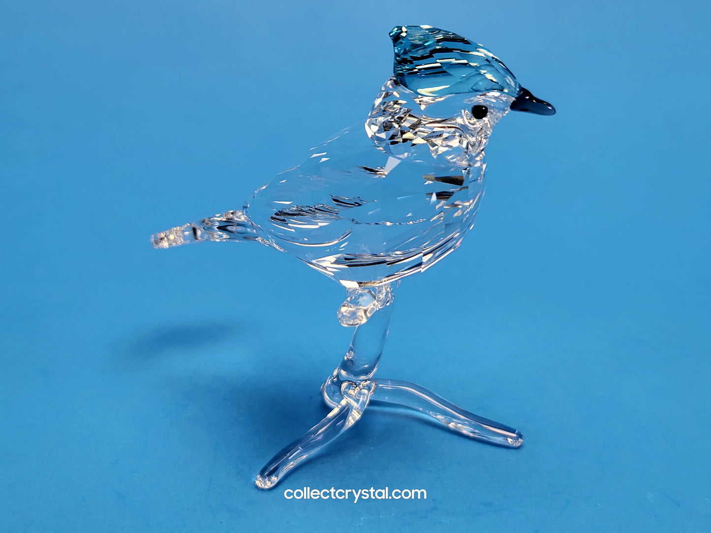 BLUE JAY (2019 ISSUE) 5470647 / 5705326 bird