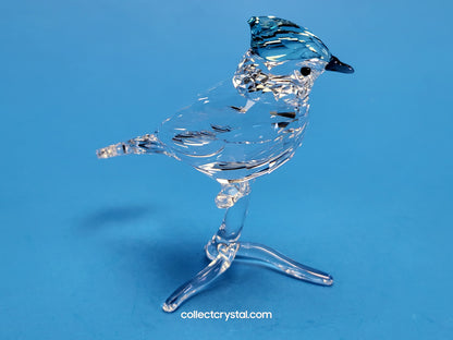 BLUE JAY (2019 ISSUE) 5470647 / 5705326 bird
