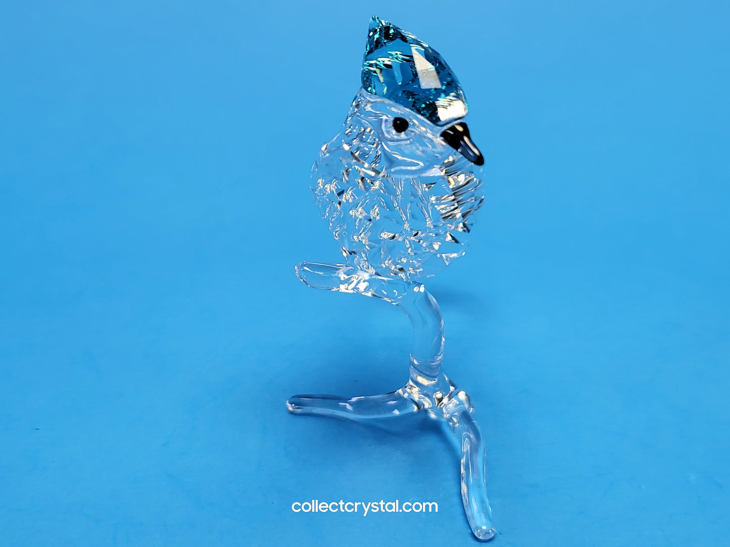 BLUE JAY (2019 ISSUE) 5470647 / 5705326 bird