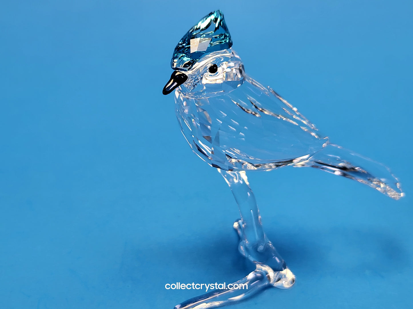 BLUE JAY (2019 ISSUE) 5470647 / 5705326 bird