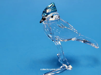 BLUE JAY (2019 ISSUE) 5470647 / 5705326 bird