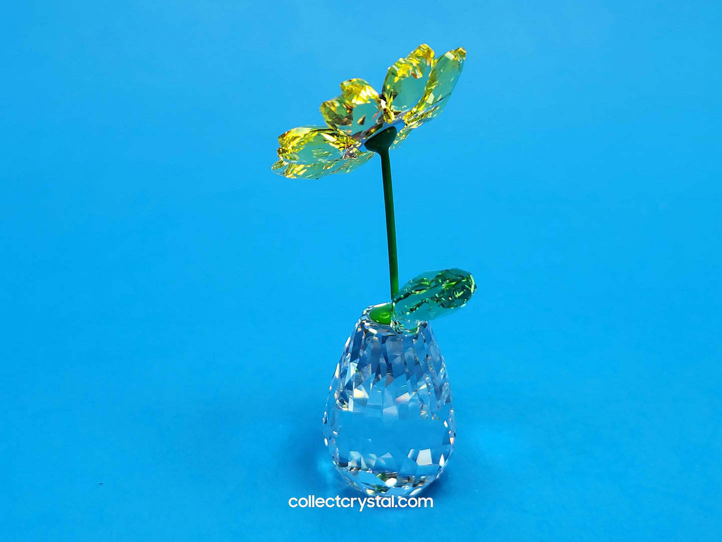 FLOWER DREAMS – SUNFLOWER 5254311 / 5723647