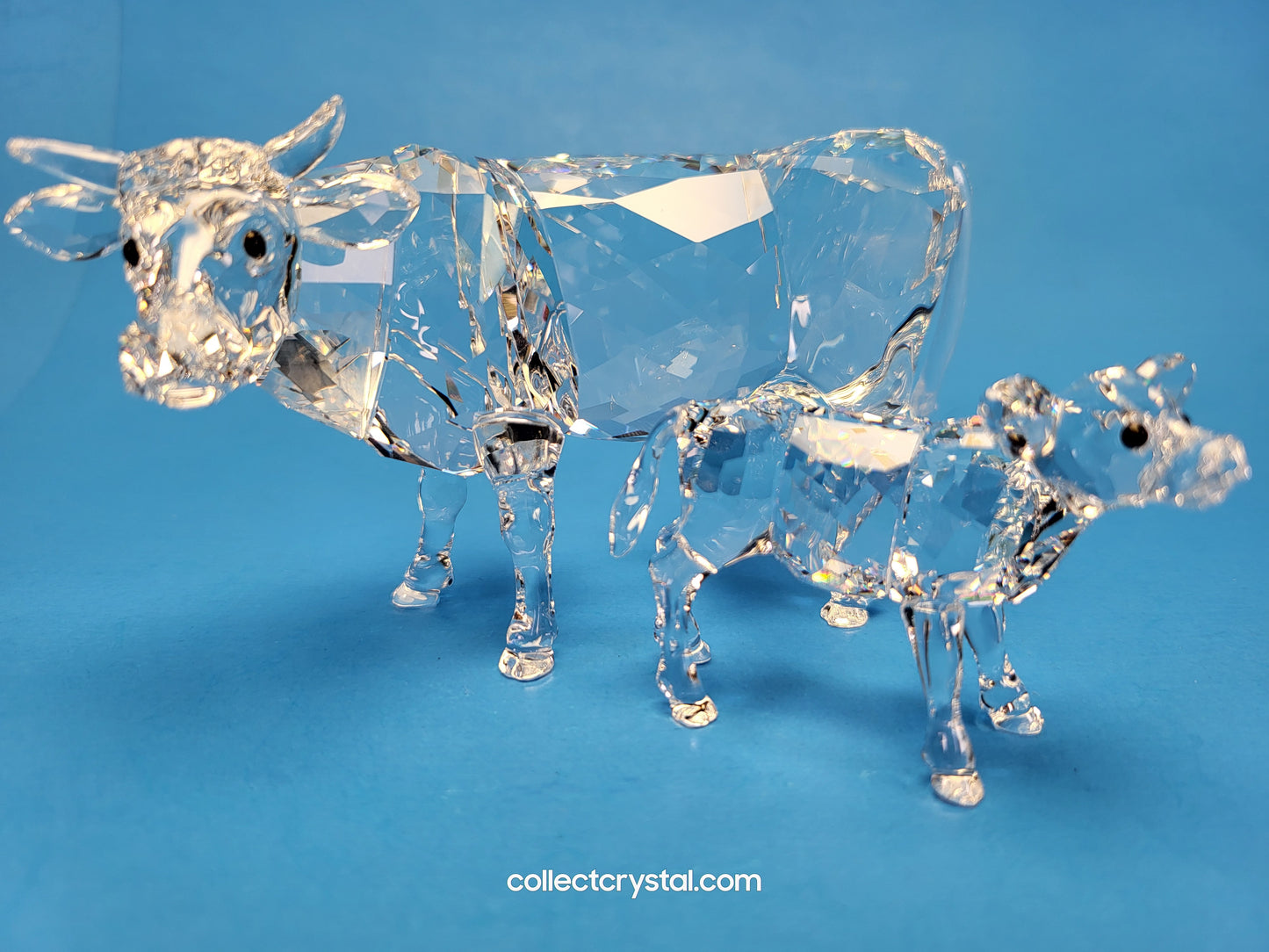 Calf Cow Baby # 905776 Farm Animal
