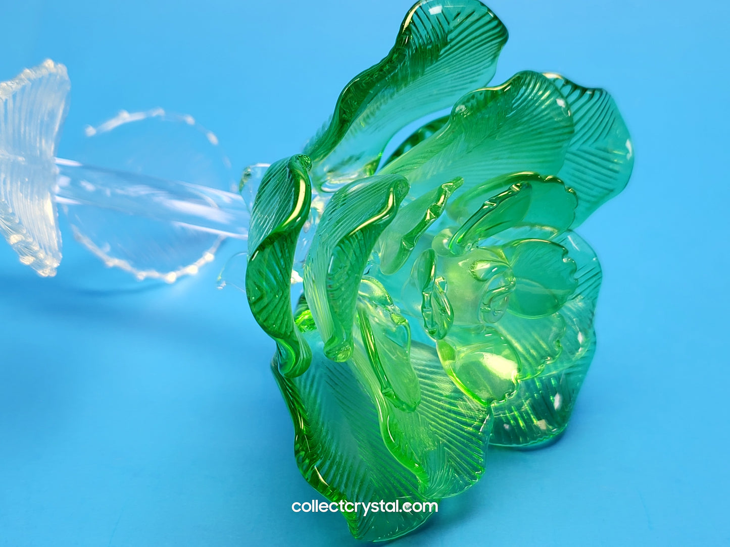 Waterford Crystal FLEUROLOGY 2021 Green Rose 14 1/2" mint in Box # 40026268