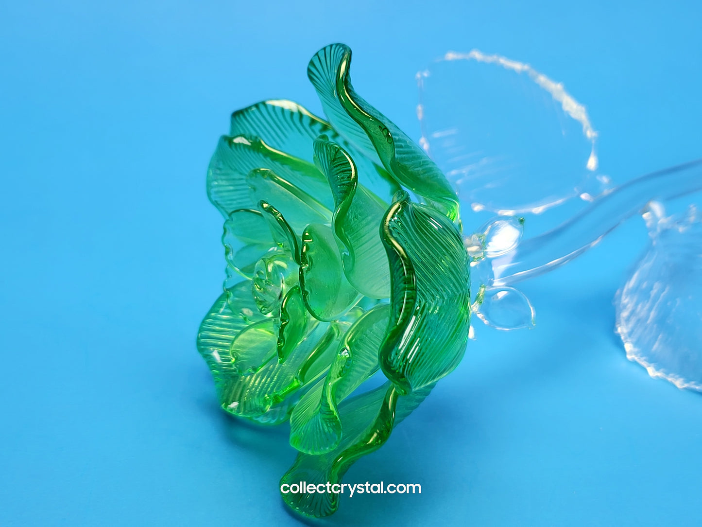 Waterford Crystal FLEUROLOGY 2021 Green Rose 14 1/2" mint in Box # 40026268