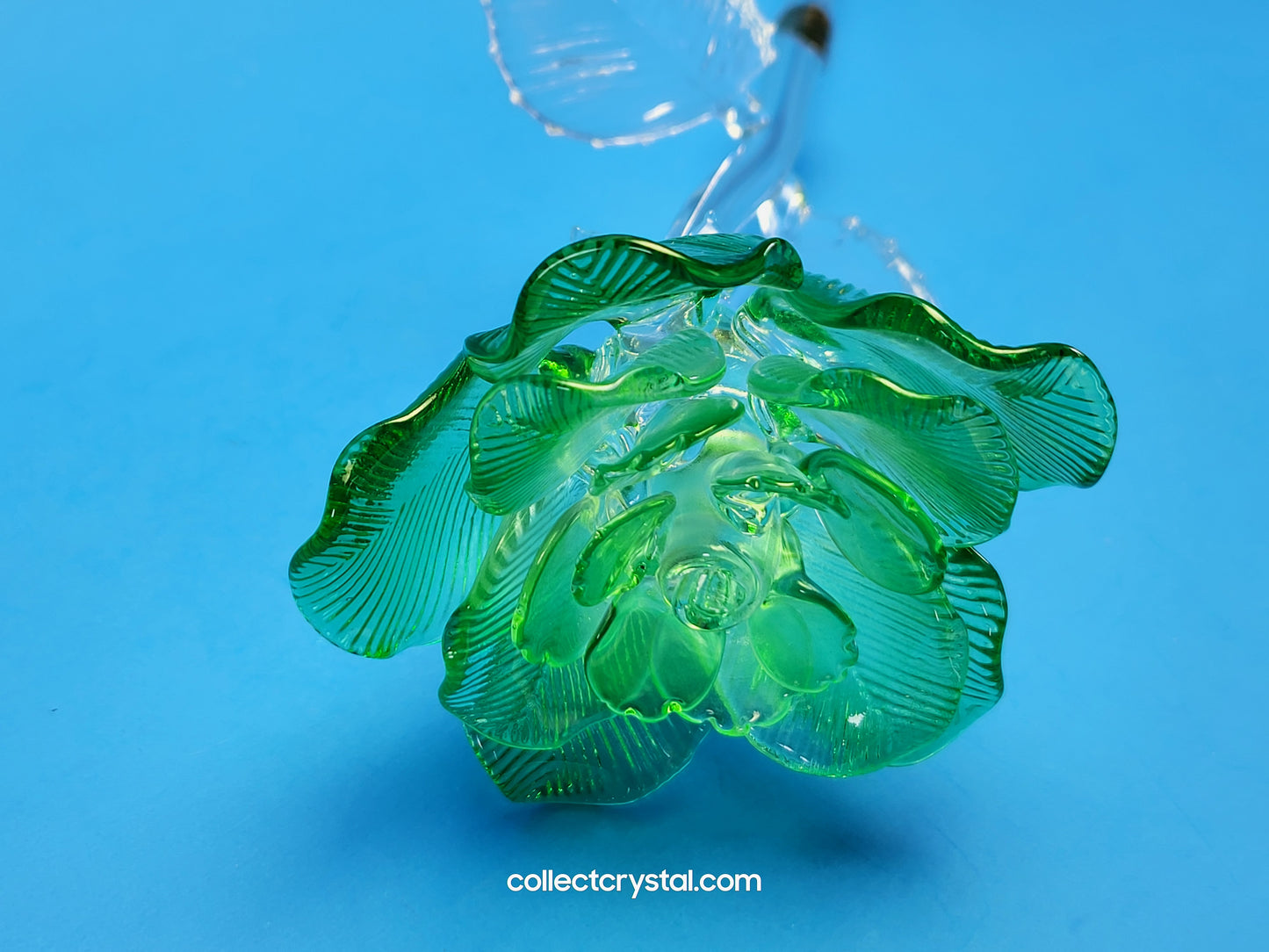 Waterford Crystal FLEUROLOGY 2021 Green Rose 14 1/2" mint in Box # 40026268