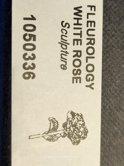 Waterford Crystal FLEUROLOGY 2010 White Rose 14 1/2" mint in Box # 1050336