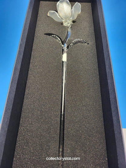 Waterford Crystal FLEUROLOGY 2010 White Rose 14 1/2" mint in Box # 1050336